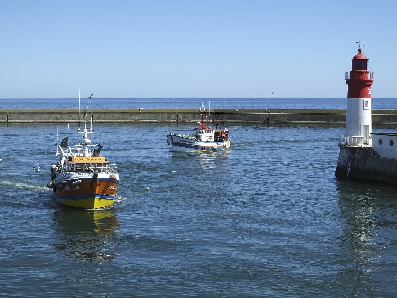 Port du Guilvinec