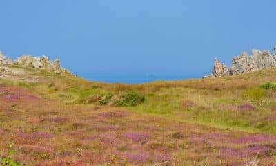 Les iles du Finistère